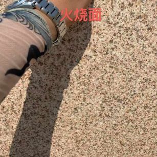 四平黄金麻火烧面